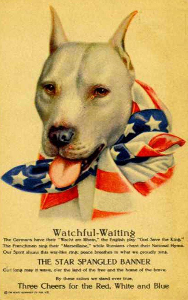 WWI poster featuring an American Pit Bull Terrier — 'I am neutral but not afraid'