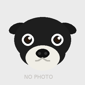 No photo